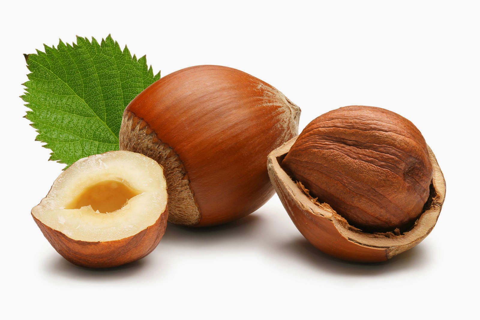 Father Julian's Blog Hazelnuts