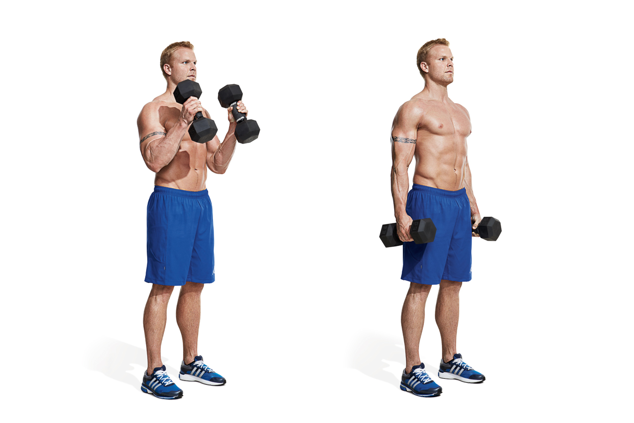 Latihan Otot Bicep Dumbbell Hammer Curl