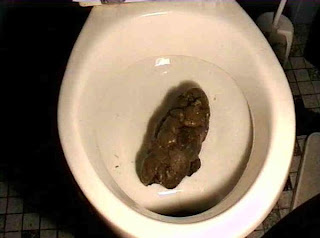 shit.jpg