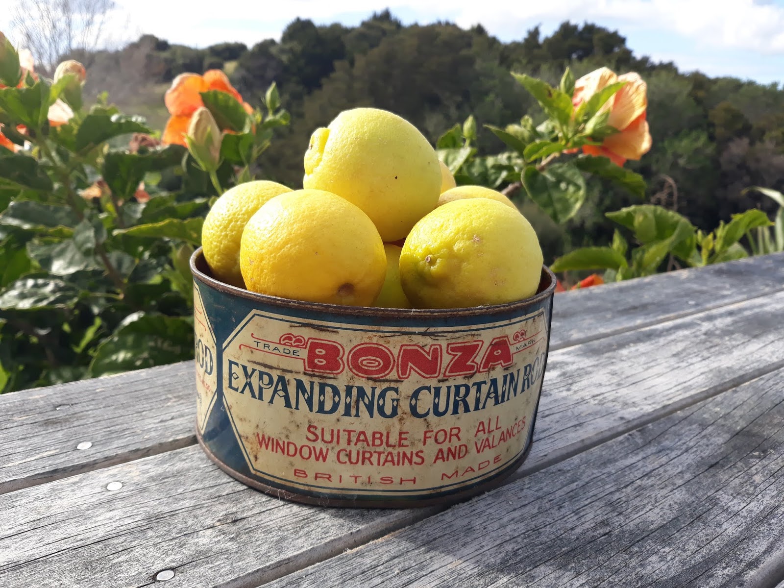 Arty Green in Paradise A Deodorant Save and DIY Bailey's