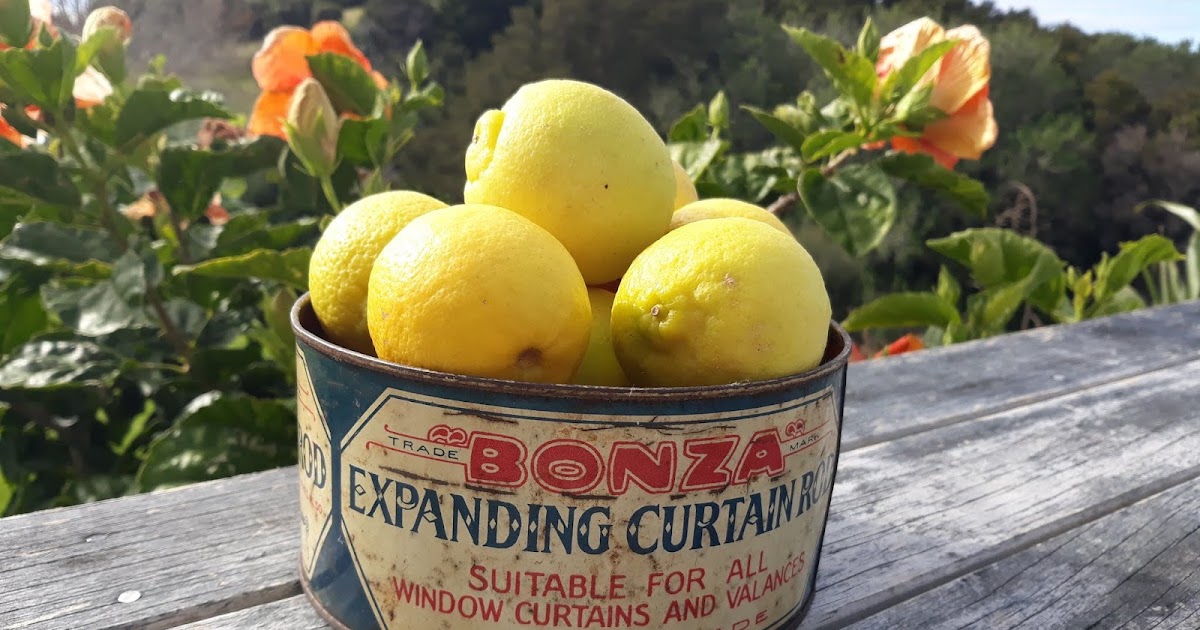 Arty Green in Paradise A Deodorant Save and DIY Bailey's