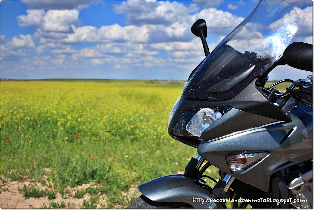 fondo de pantalla HONDA CBF600SA