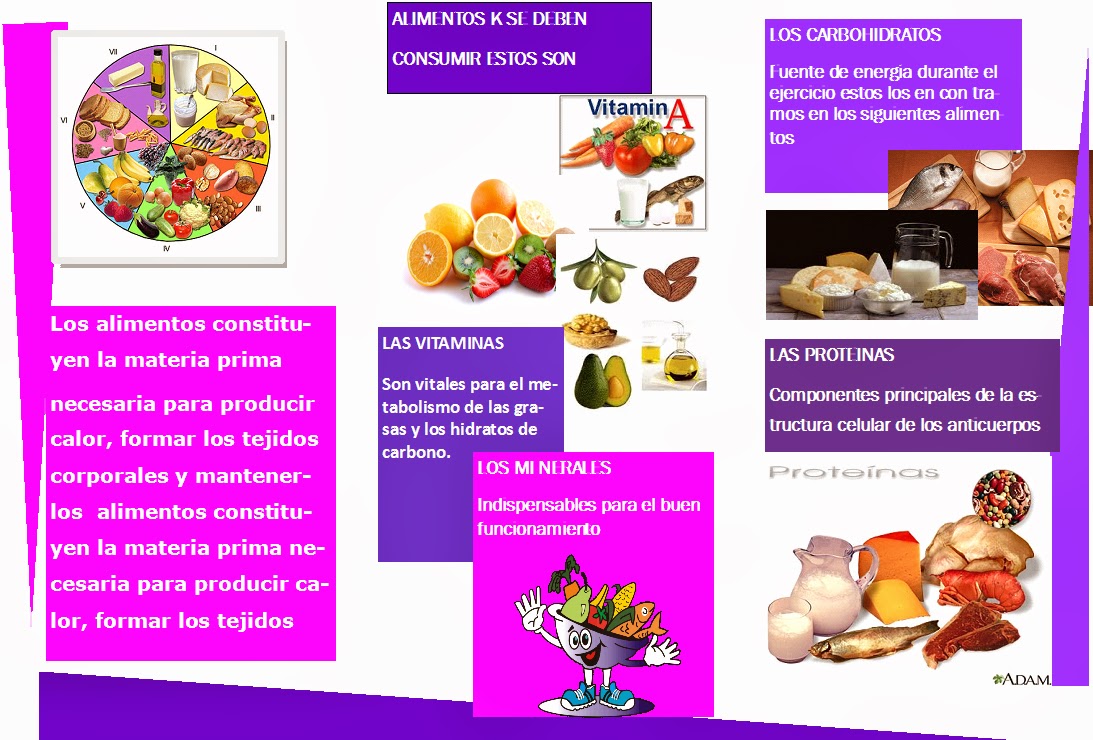NUTRICION EN EL DEPORTE TRIPTICOS EN ESPAÑOL NUTRICION EN EL DEPORTE TRIPTICOS EN ESPAÑOL