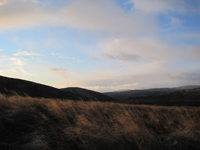 A view across Deeside from the hillwalk up Morven