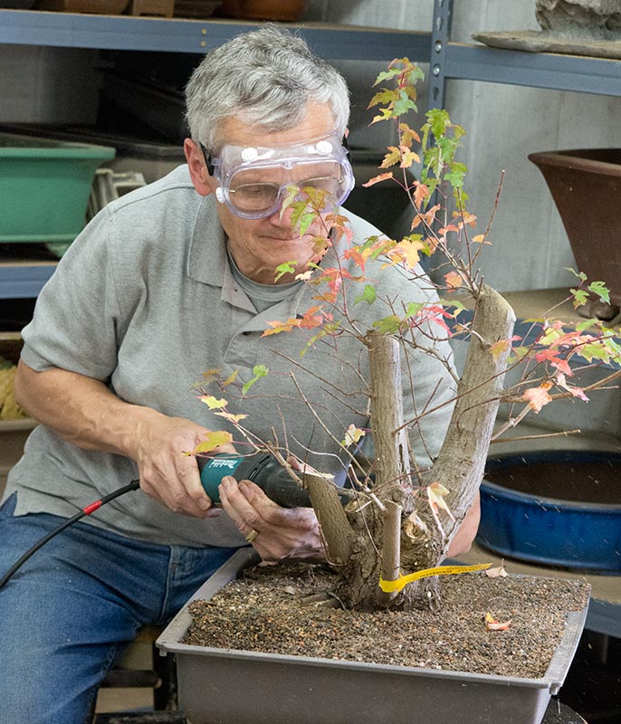 Walter Pall Bonsai Adventures Int. Bonsai Academy in Michigan 2