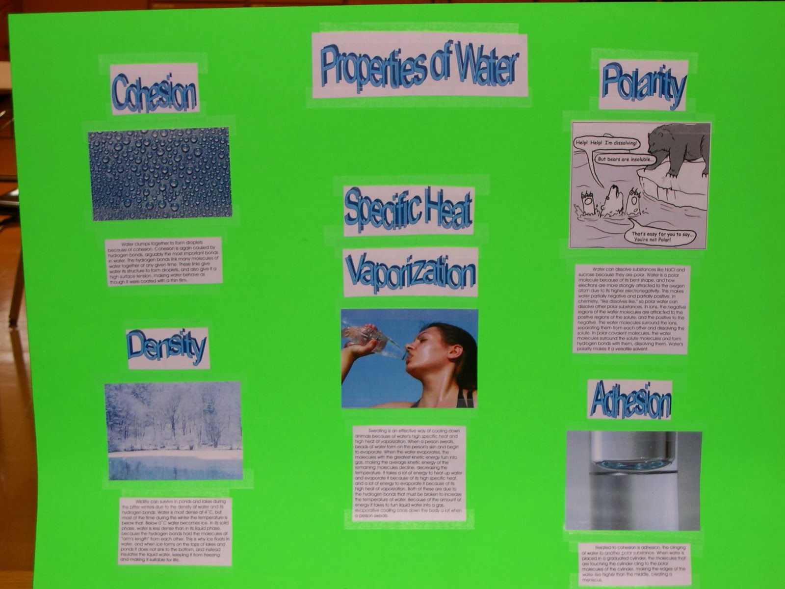 Properties Of Water Explained