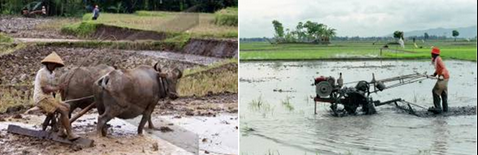 900 Gambar Bentuk Bentuk Perubahan Sosial Terbaru Infobaru