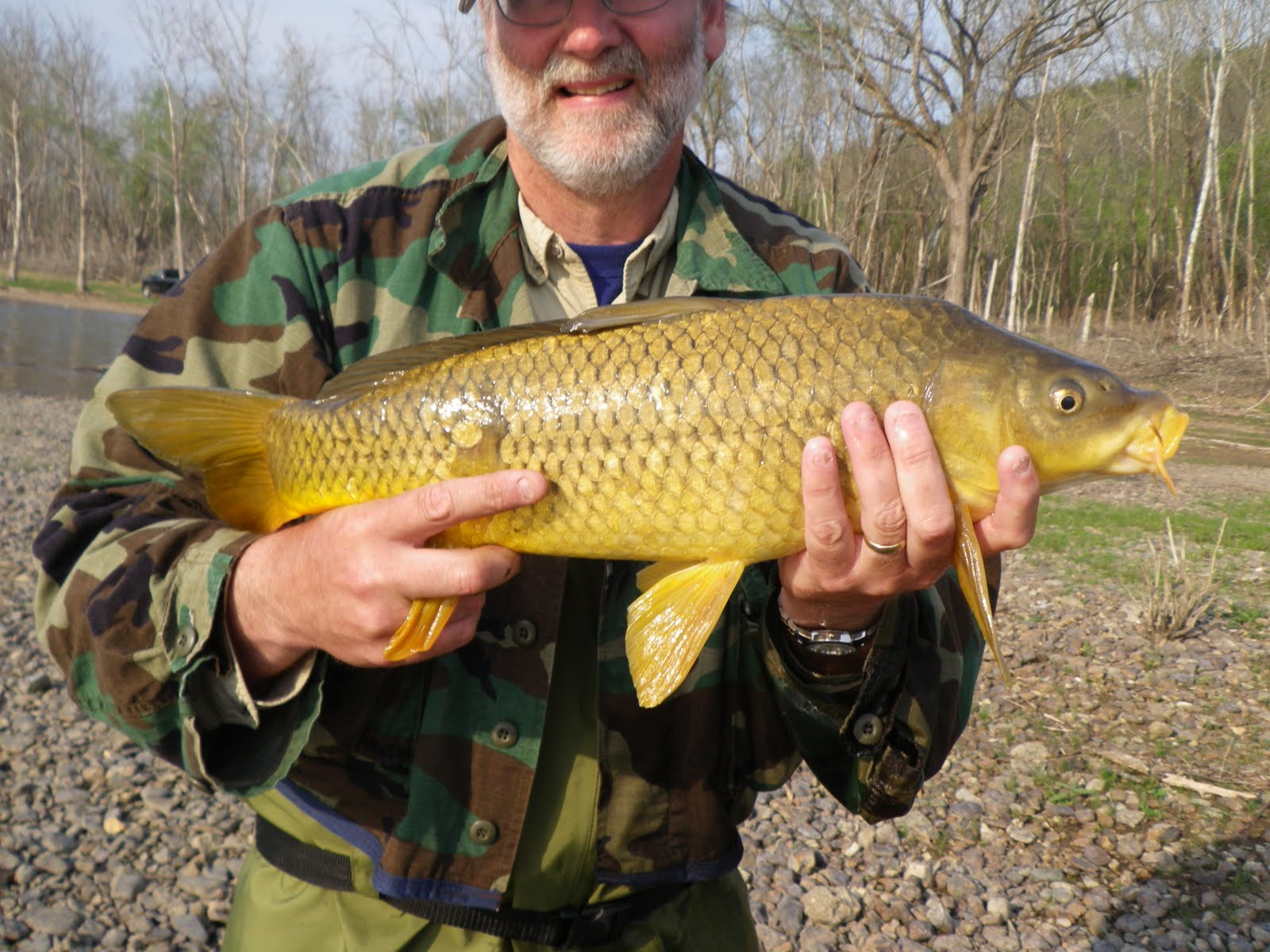 Ozark FlyFishing April White Bass, white bass and walleye