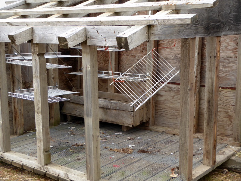 Rural Revolution Chicken coop expansion, Part 1