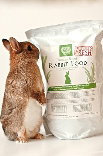 Rabbit Pet Lover: Small Pet Select Rabbit Food Pellets