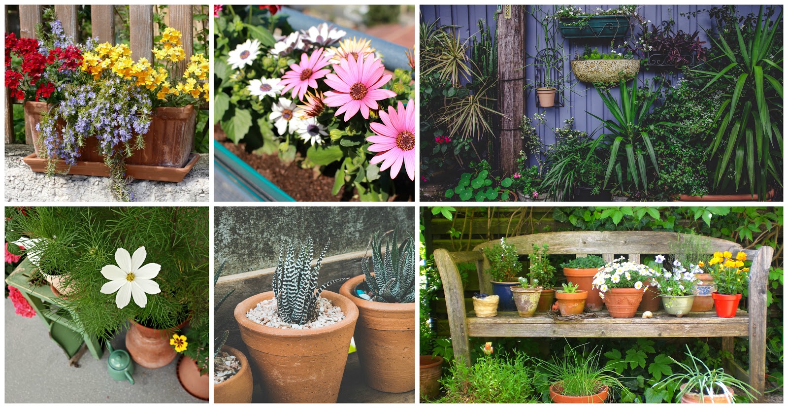 Anzeige: 11 Tipps um aus deinem schmalen Balkon eine Wohlfühloase zu