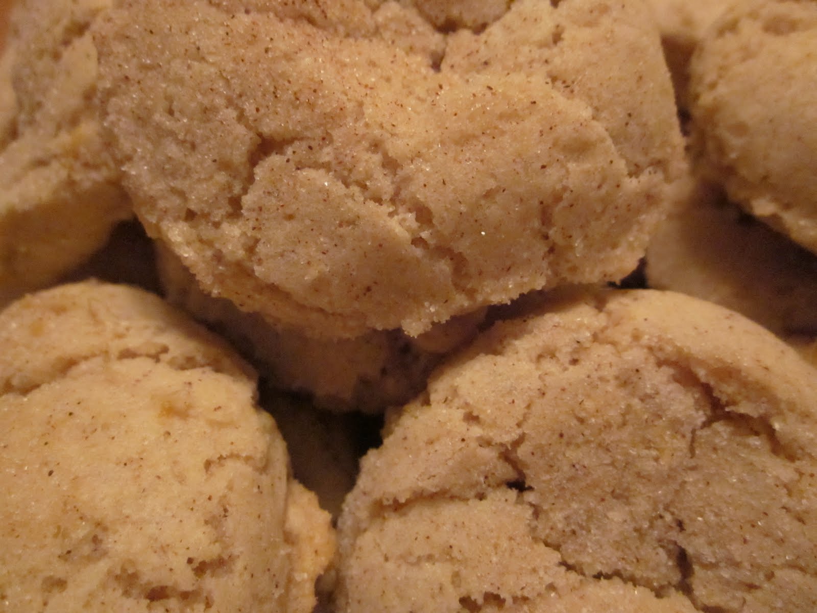 Ratio Rally Cinnamon Lemon Cookies No One Likes Crumbley Cookies