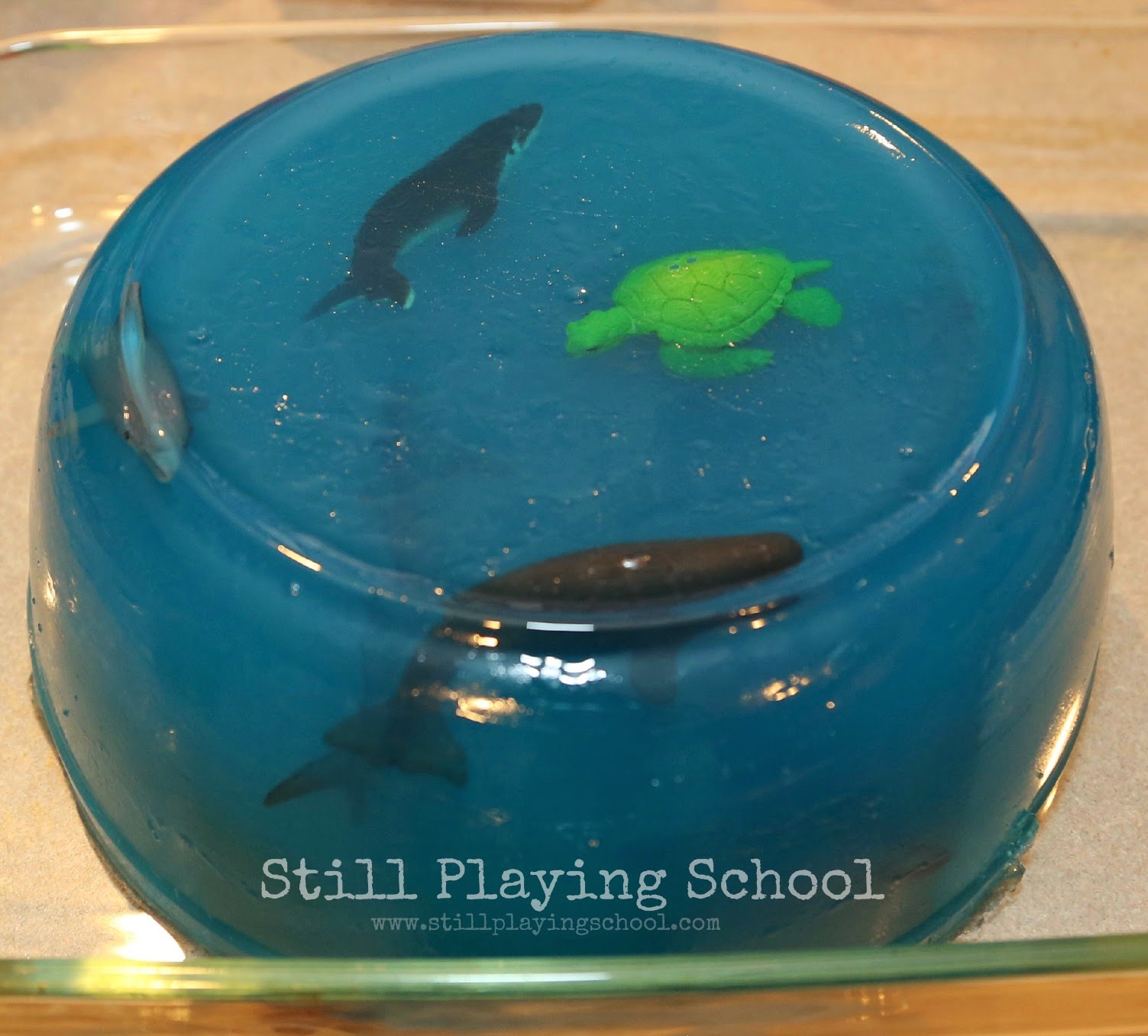Jello Ocean Sensory Exploration Still Playing School