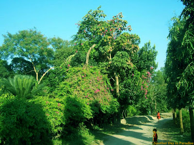 Mirpur Botanical garden