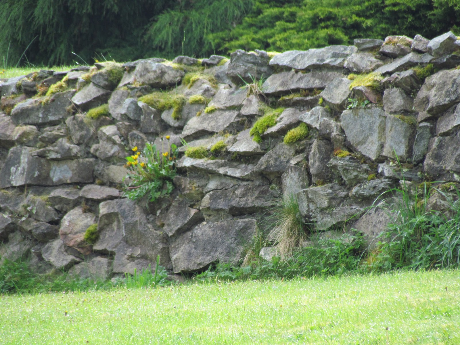 Scene Through My Eyes: Rock Wall