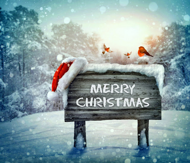 Marry Christmas facebook cover photo and Twitter Image