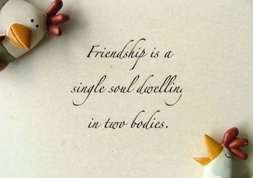 Friendship Day Quotes Messages Sms For Facebook Status In Hindi English Friendship Day Quotes Messages Sms For Facebook Status In Hindi English