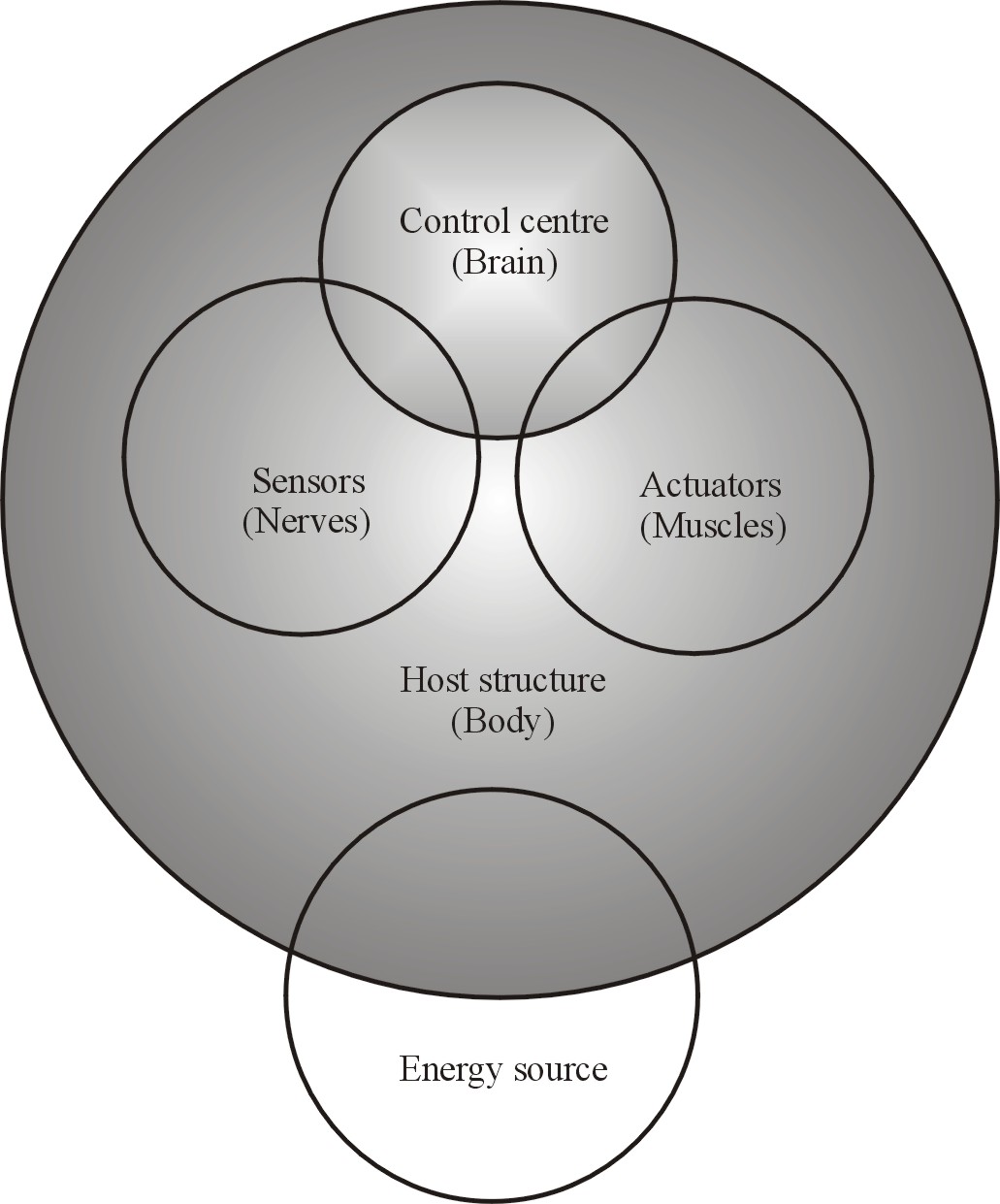 The Vinod Wadhawan Blog: 86. Smart Structures: Blurring the Distinction ...