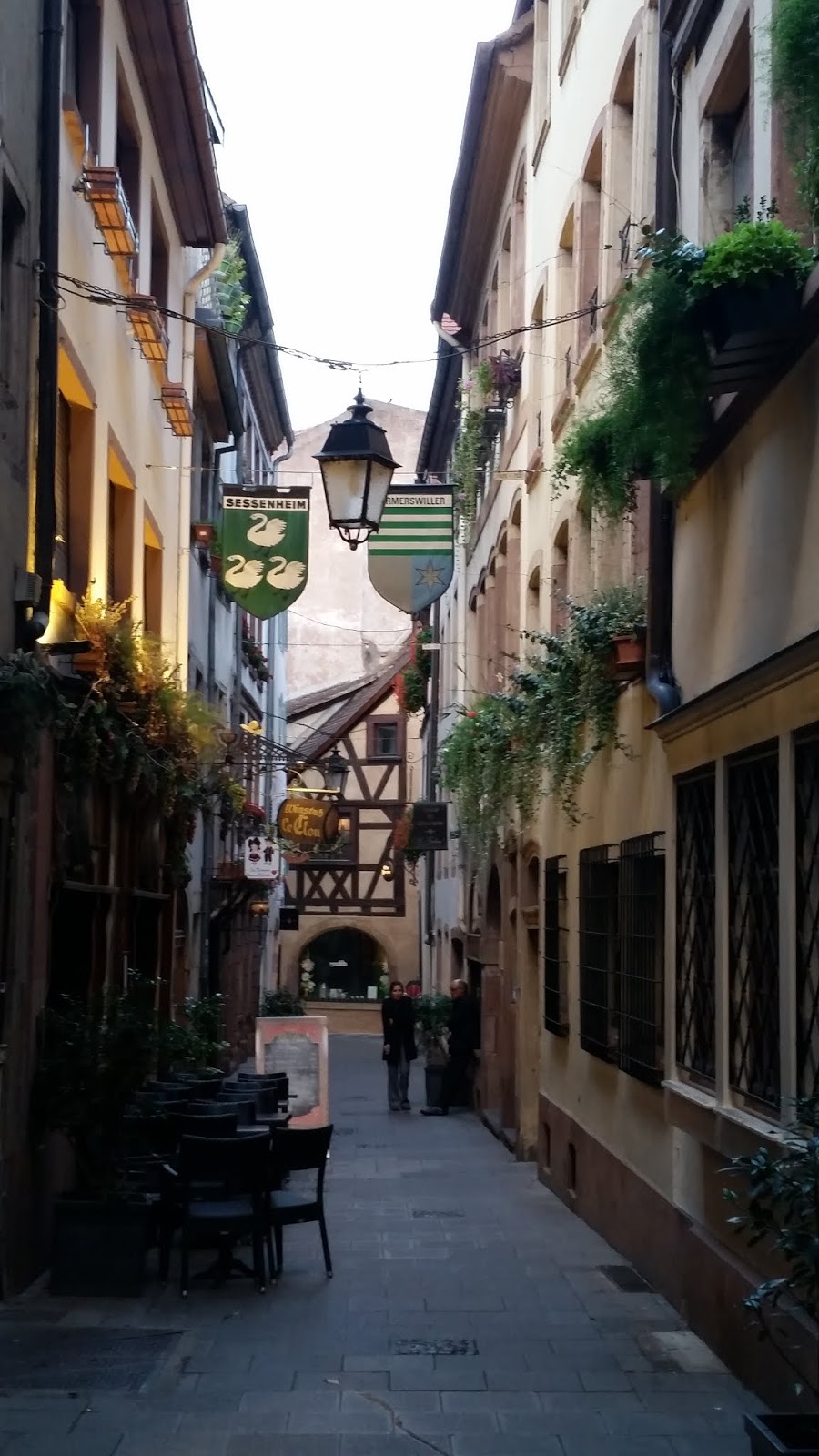 Strangeness And Charms 2019