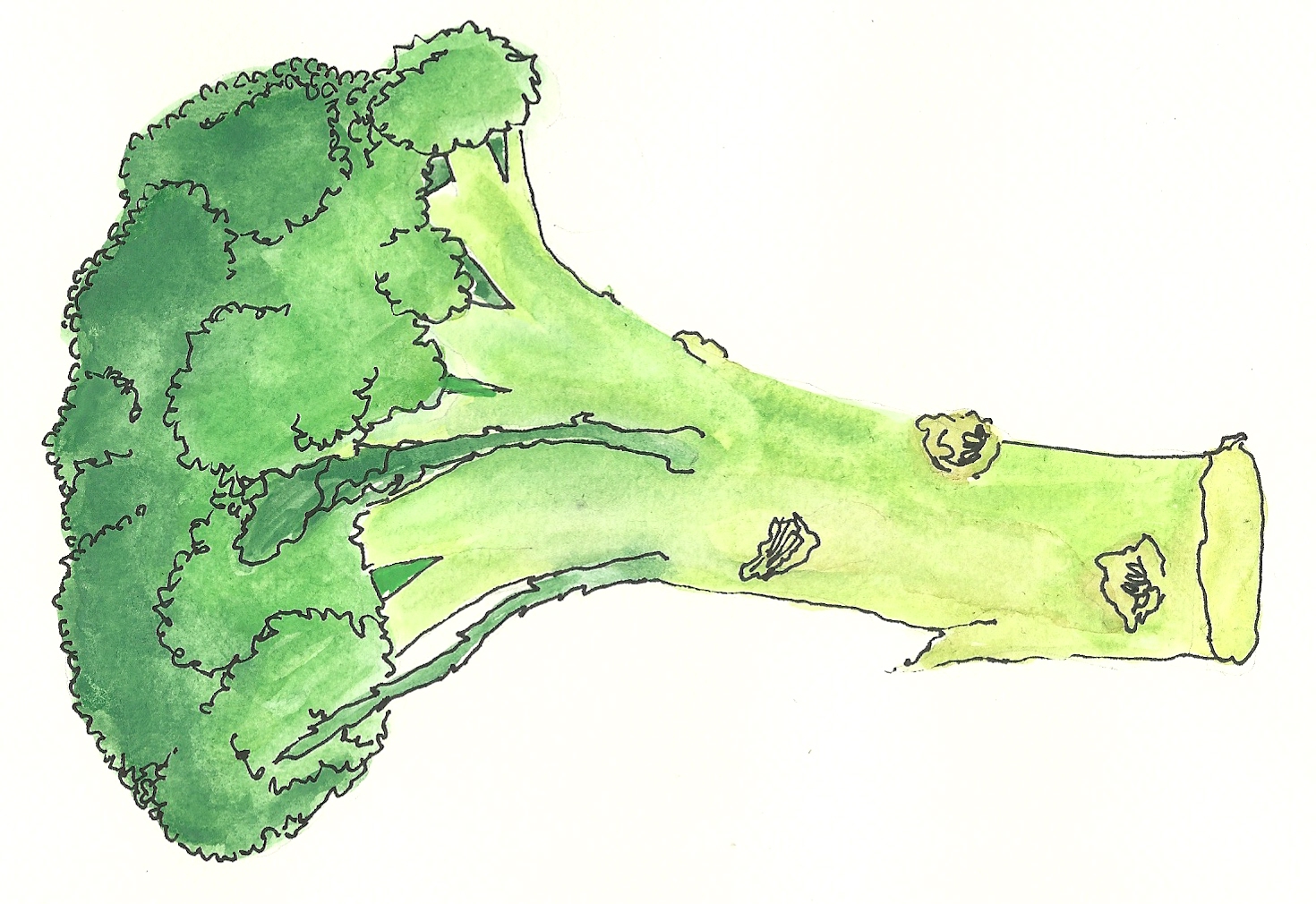 Multiple Chemical Survivor Glycemic Index and [Anti] Inflammatory Ratings