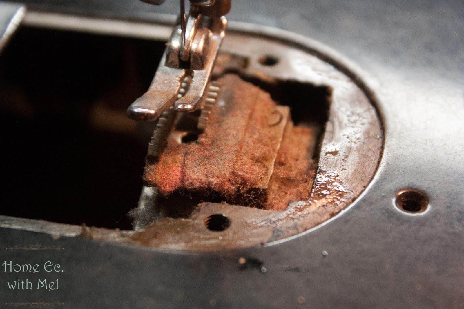 How To Clean Sewing Machine Feed Dogs The Quilting Room with Mel