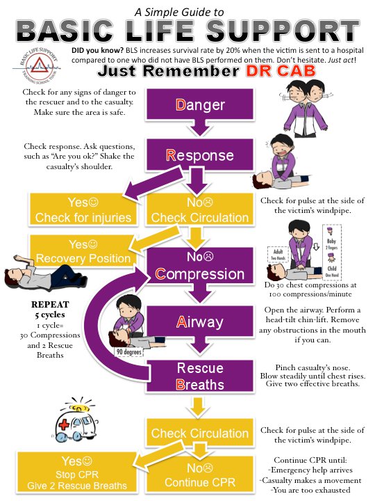 Basic Life Support Training School Tour The Modules