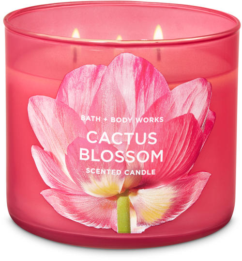 Life Inside the Page Bath & Body Works Pretty In Pink Candle Collection