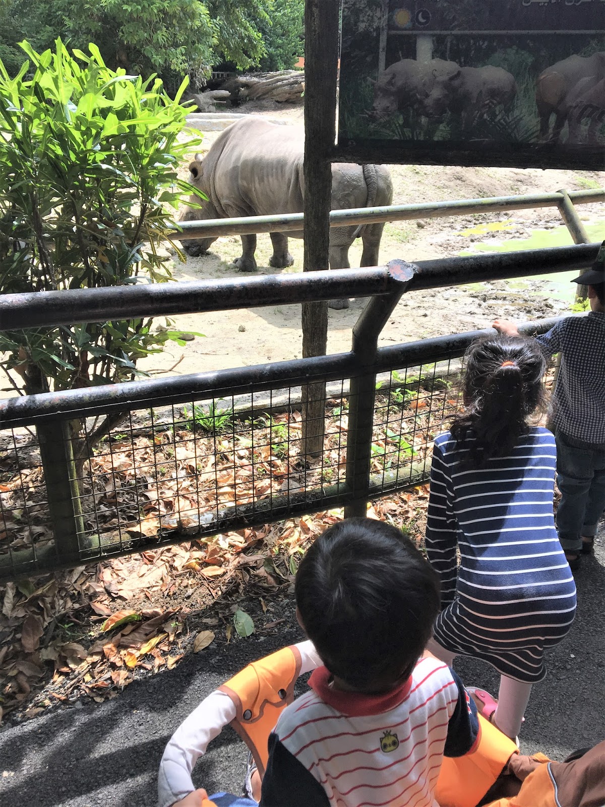Wajib Pergi Zoo Taiping Tiap Kali Balik Raya Perak