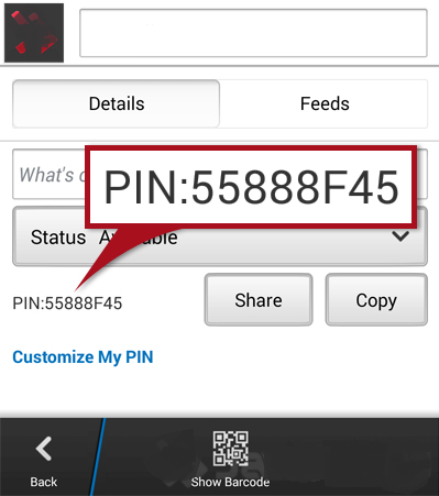 PIN Cantik BBM Android