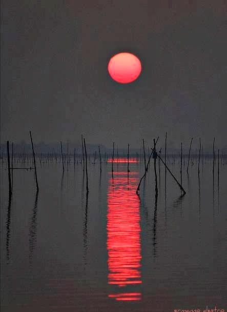 O Vermelho Pintando o Mar