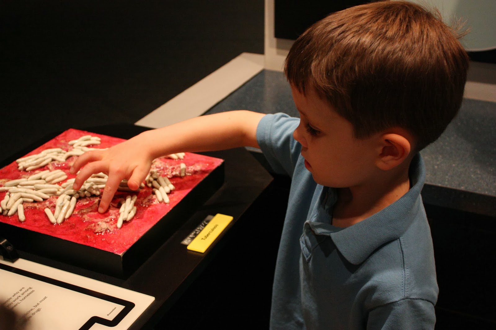 Cracker Crumb Chaos: Lately: Cub Scouts, Homework and Two Museums