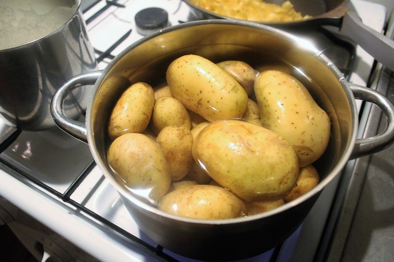 Philips Homecooker Lunaswunderwelt