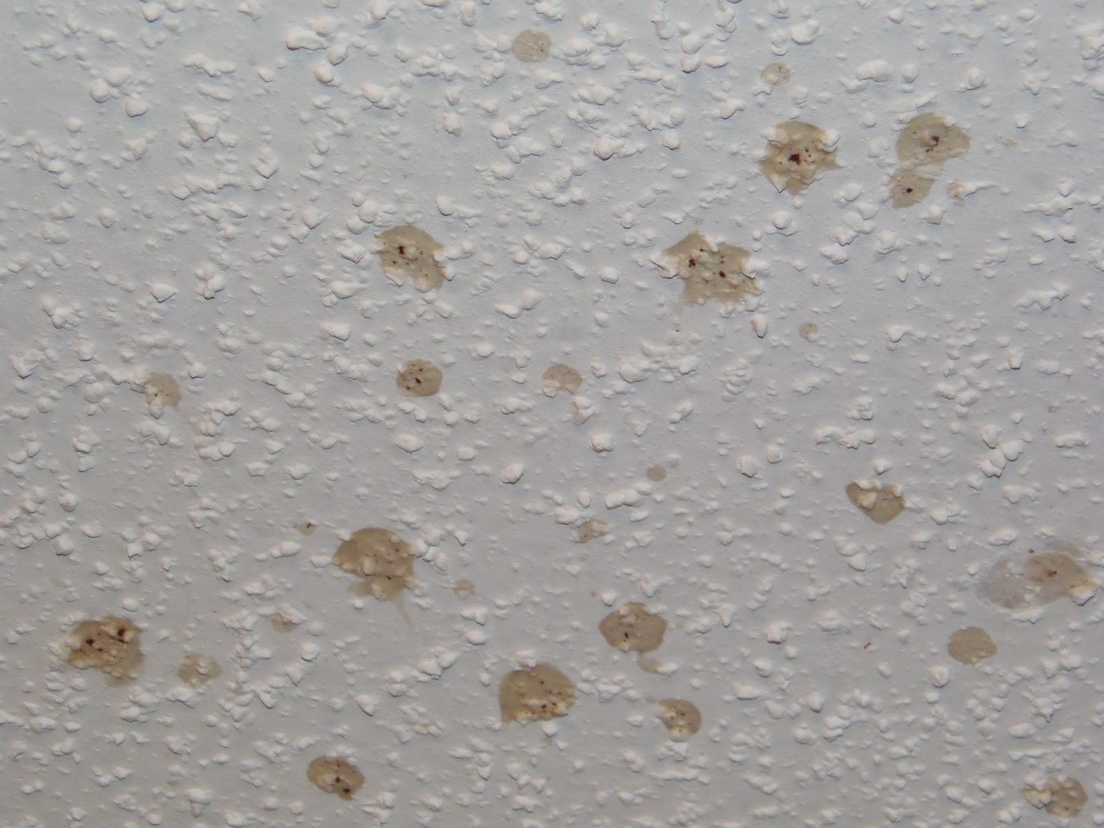 SallyMatheny First Impressions and Best of Intentions Hit the Ceiling