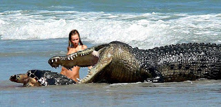 Dogman Evidence: Nile Crocodiles in Florida