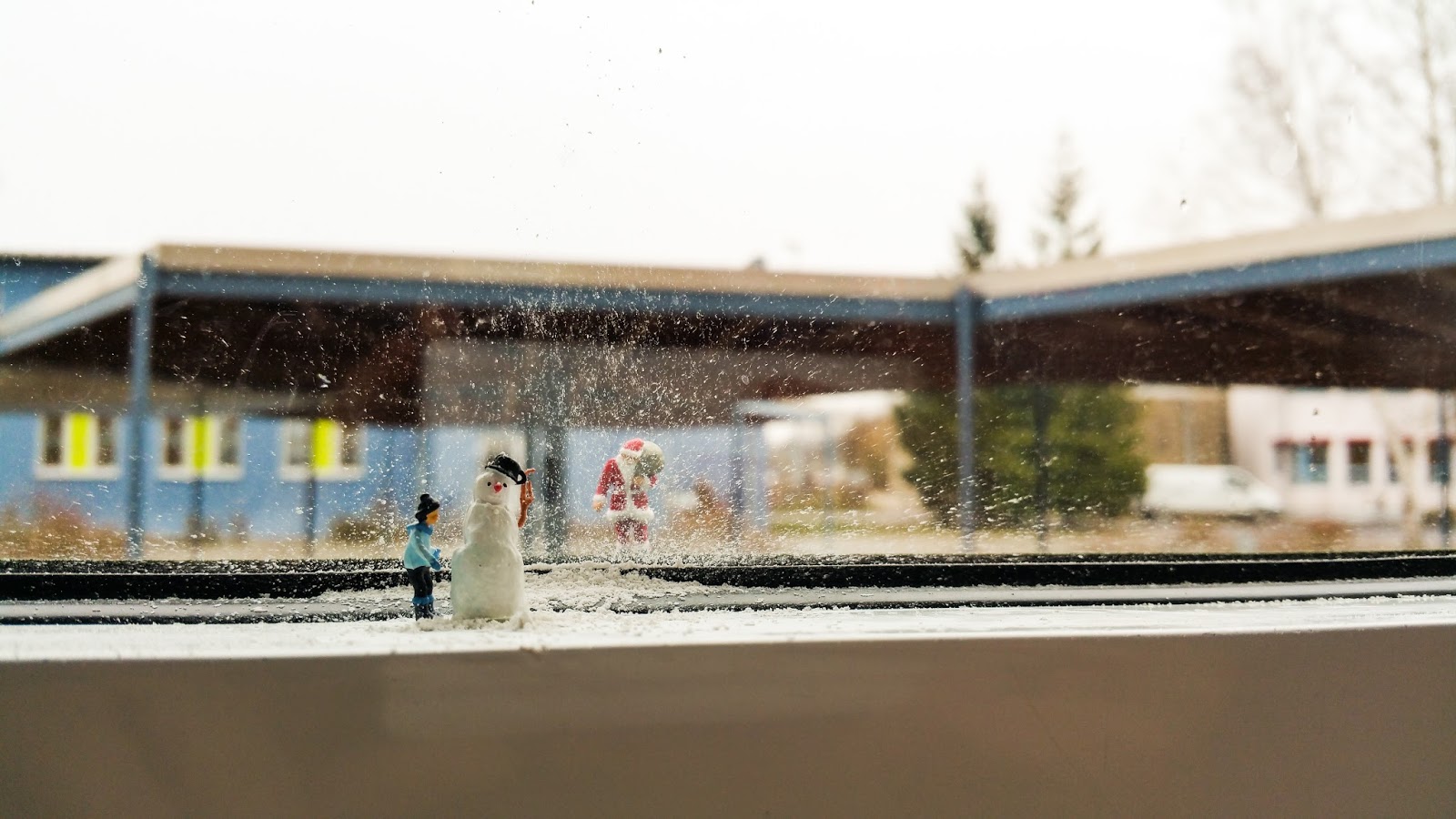 Vanessa Dippel Juni 2016