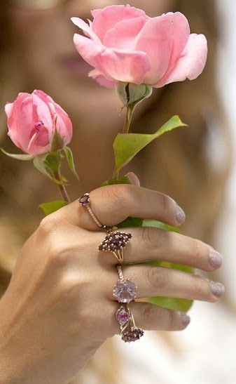 صور ورد, خلفيات ورد, صور ورود, اجمل ورد