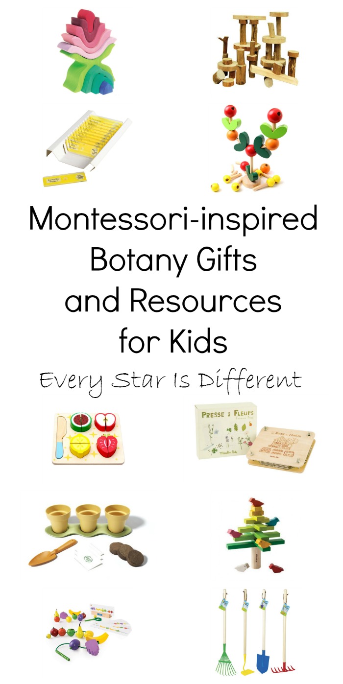 Montessoriinspired Botany Gifts and Resources for Kids Every Star Is