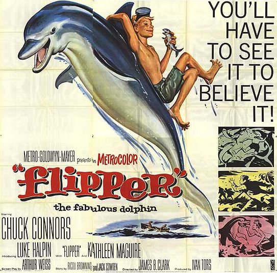 Falando em Série: FLIPPER (1964) 
