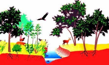 Gambar Bakteri Aerobik