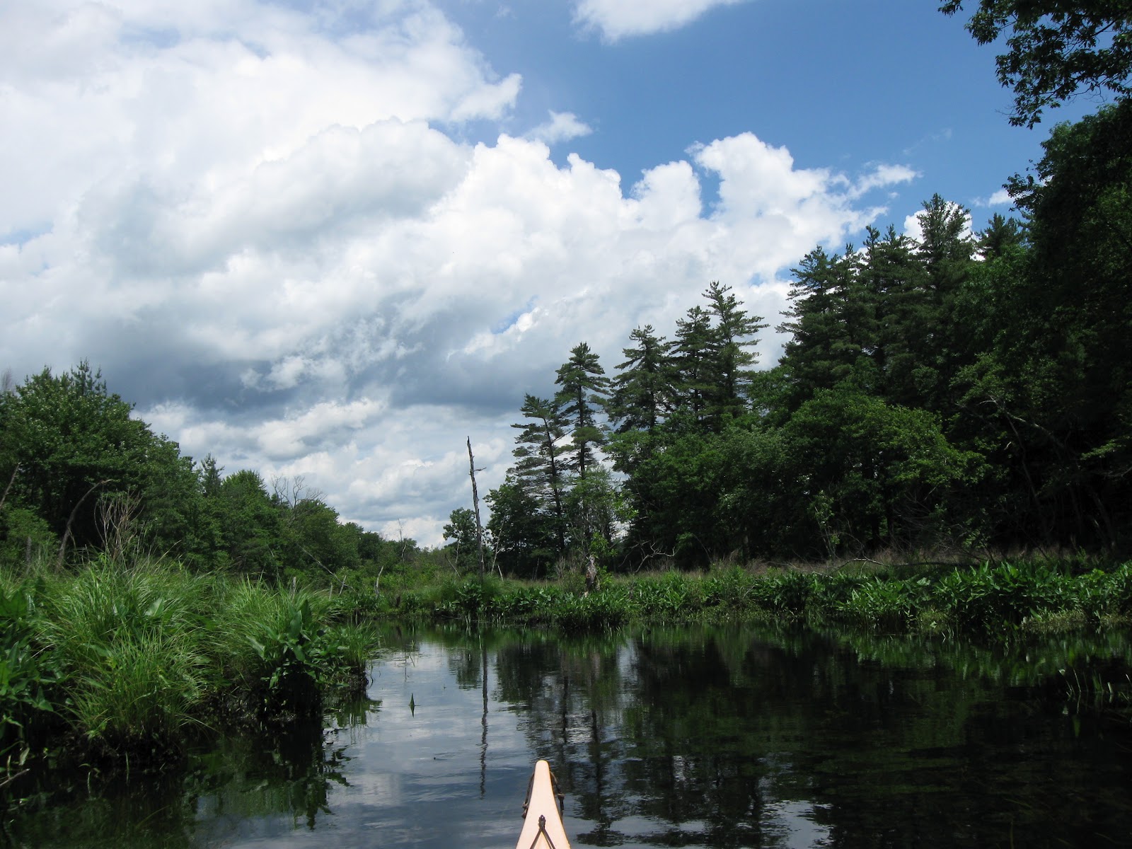 Trashpaddler Assabet River Crow Island and Fort Meadow Br.