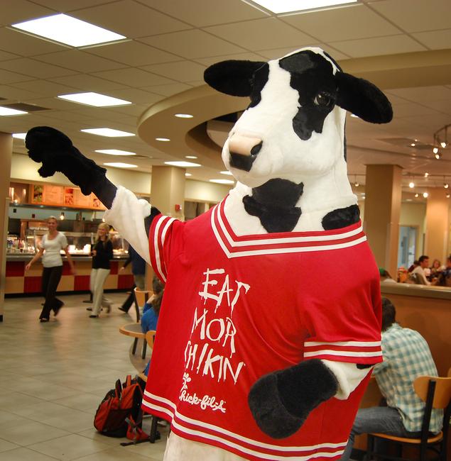 The Tam Fam: Fans of Chick-Fil-A