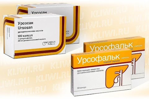 Урсосан или Урсофальк — что лучше?