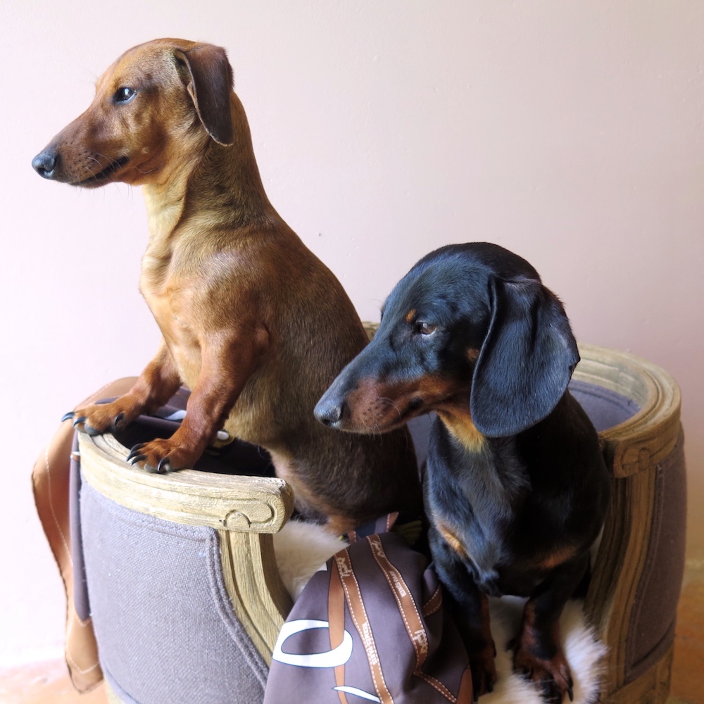 MaiTai's Picture Book How to wash your Hermes silk scarf