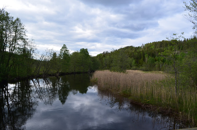 DSC_0137.JPG