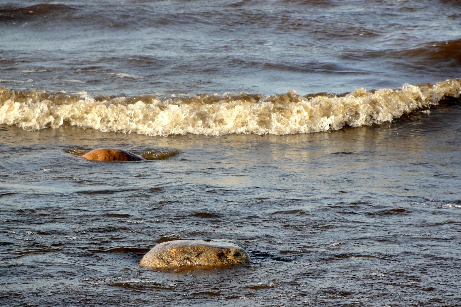 В субботу на море