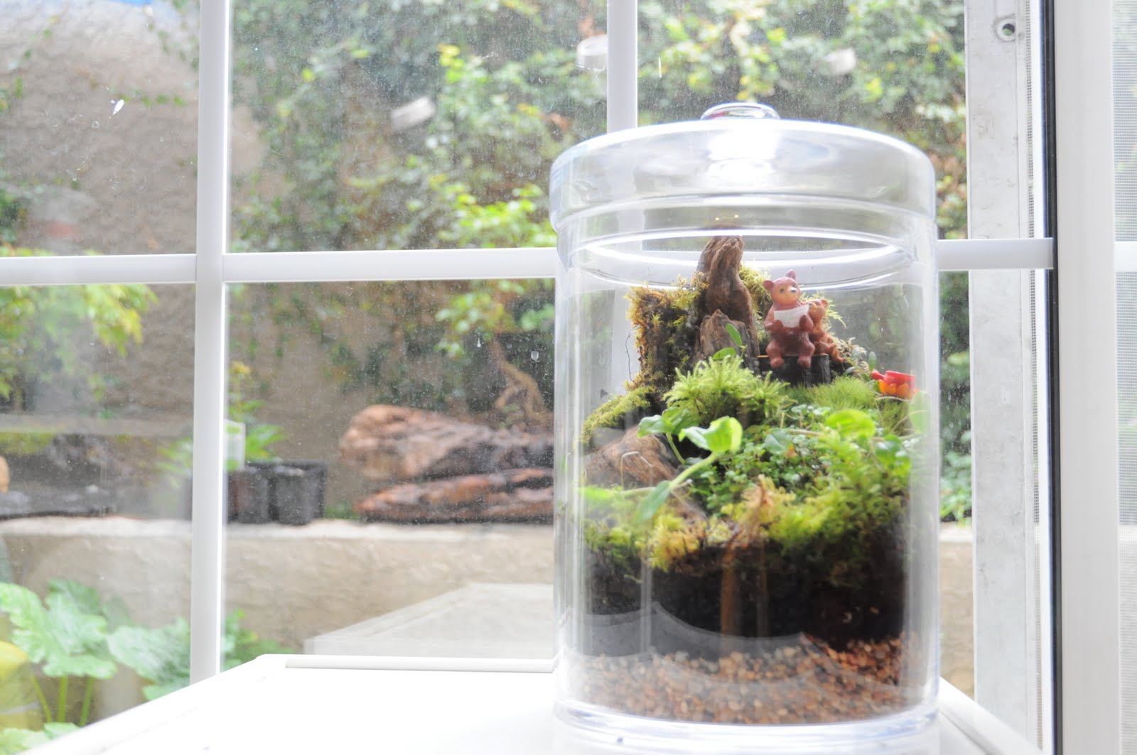 Terrarium & Timmy Story Telling Bear Terrarium