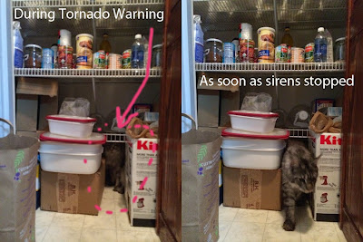 Stalone during tornado warning