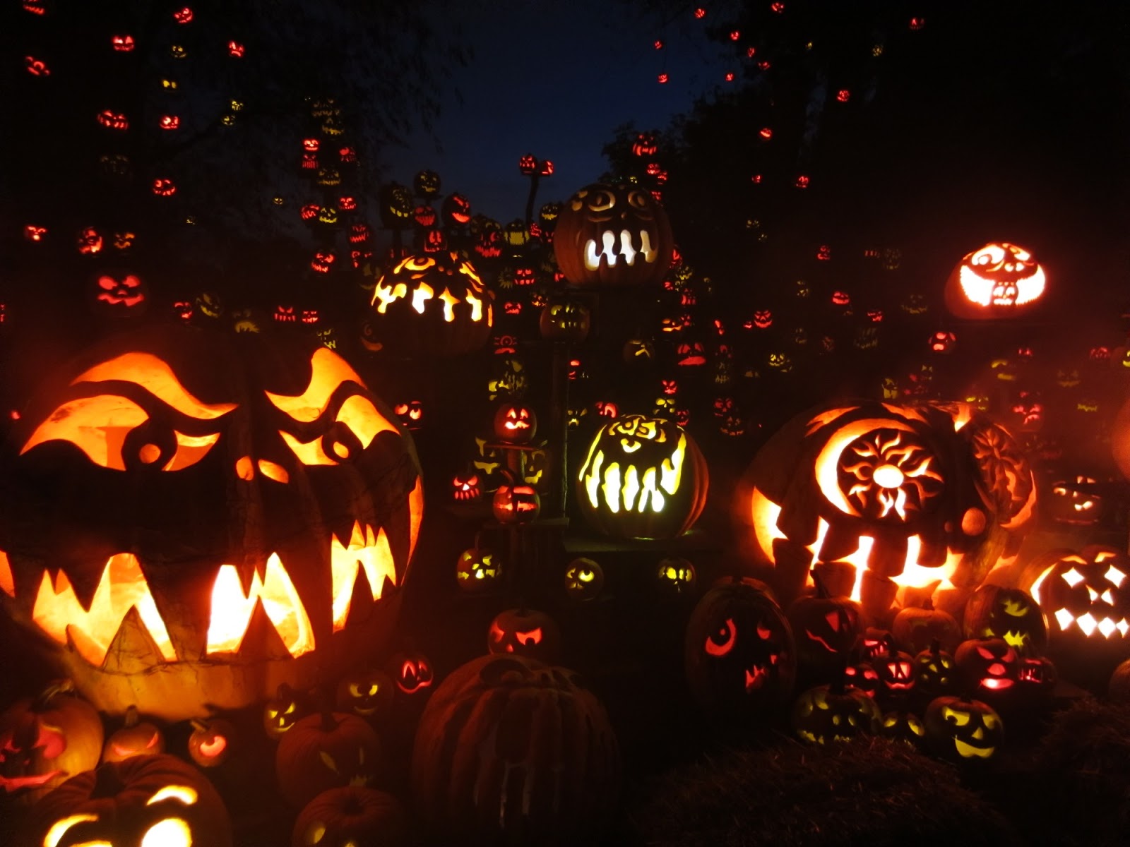 roger williams zoo lantern spectacular roger williams zoo lantern spectacular