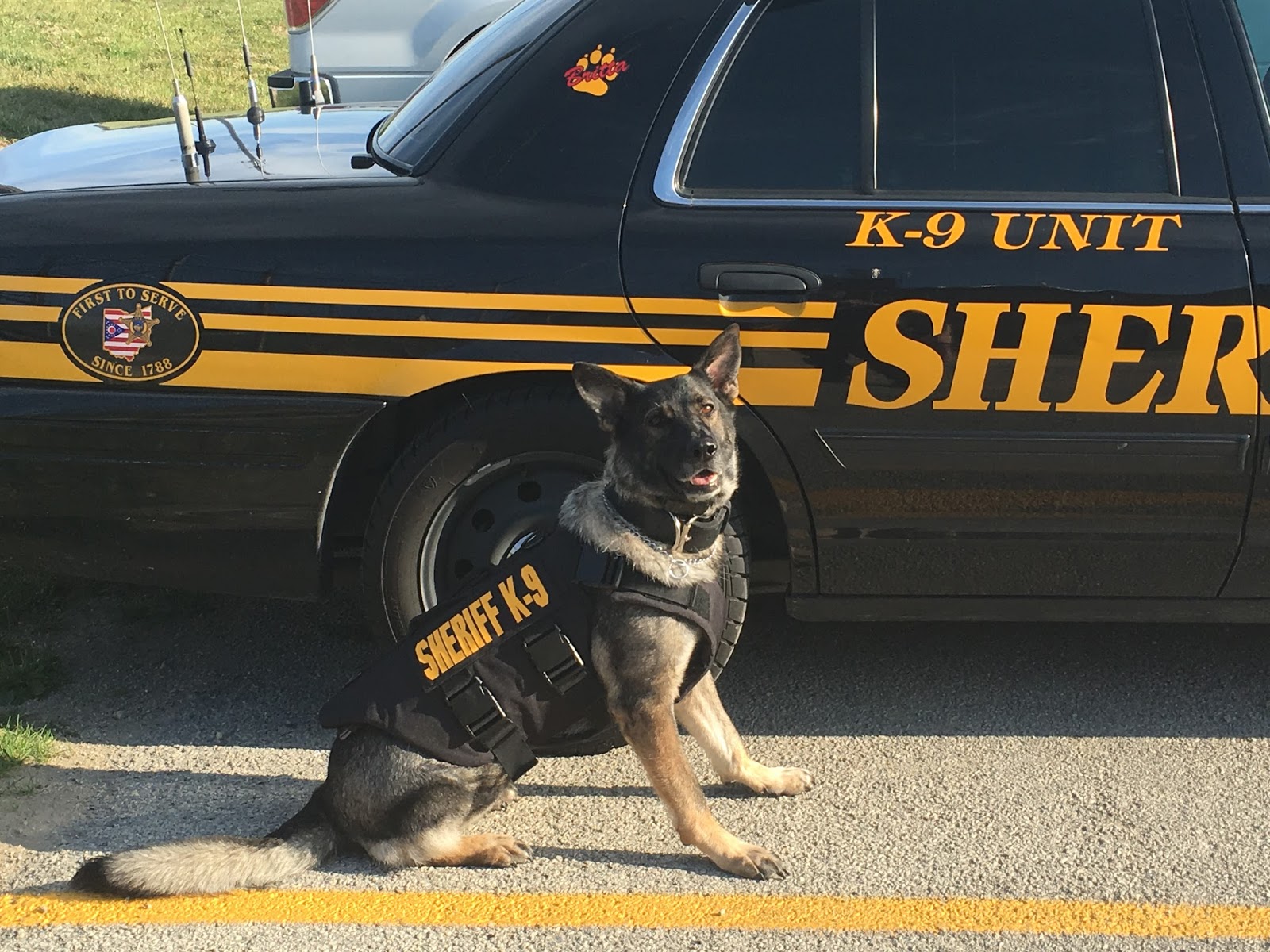 Darke County Sheriff’s Office K9 Britta has received