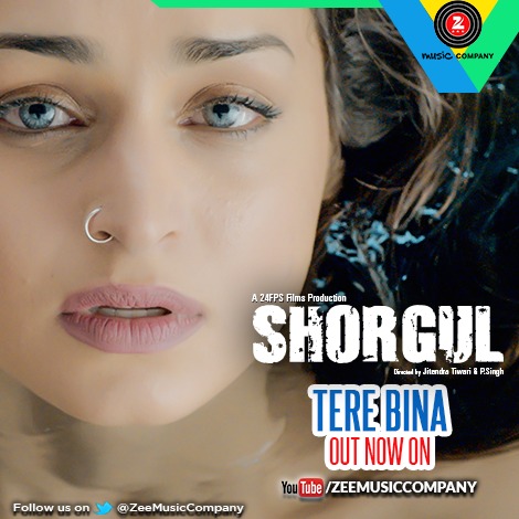 Tere Bina - Shorgul (2016) Tere Bina - Shorgul (2016)